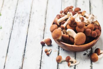 agaric honey mushrooms in a wooden bowl over white wooden background